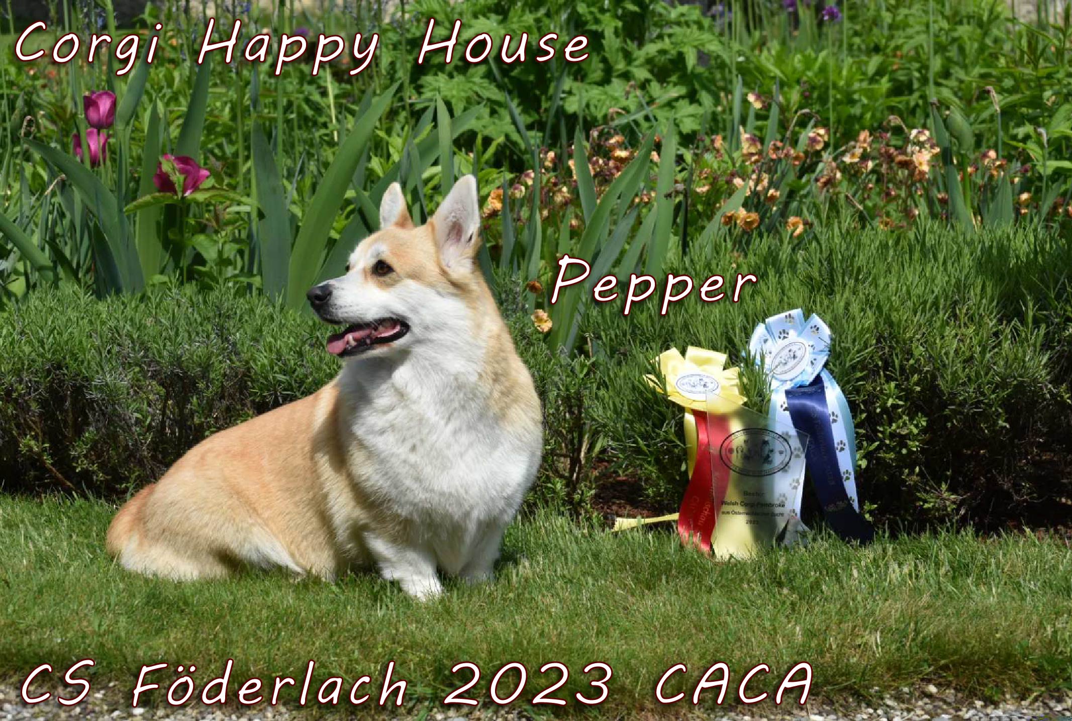 CS Föderlach 2023 CACA
